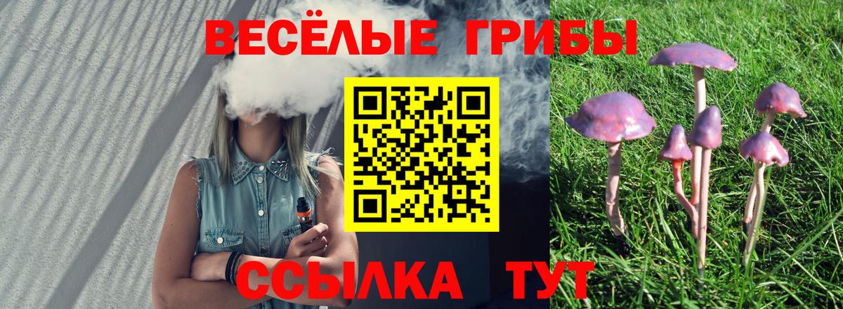 Псилоцибиновые грибы ЛСД  Вход с VPN  Тосно 