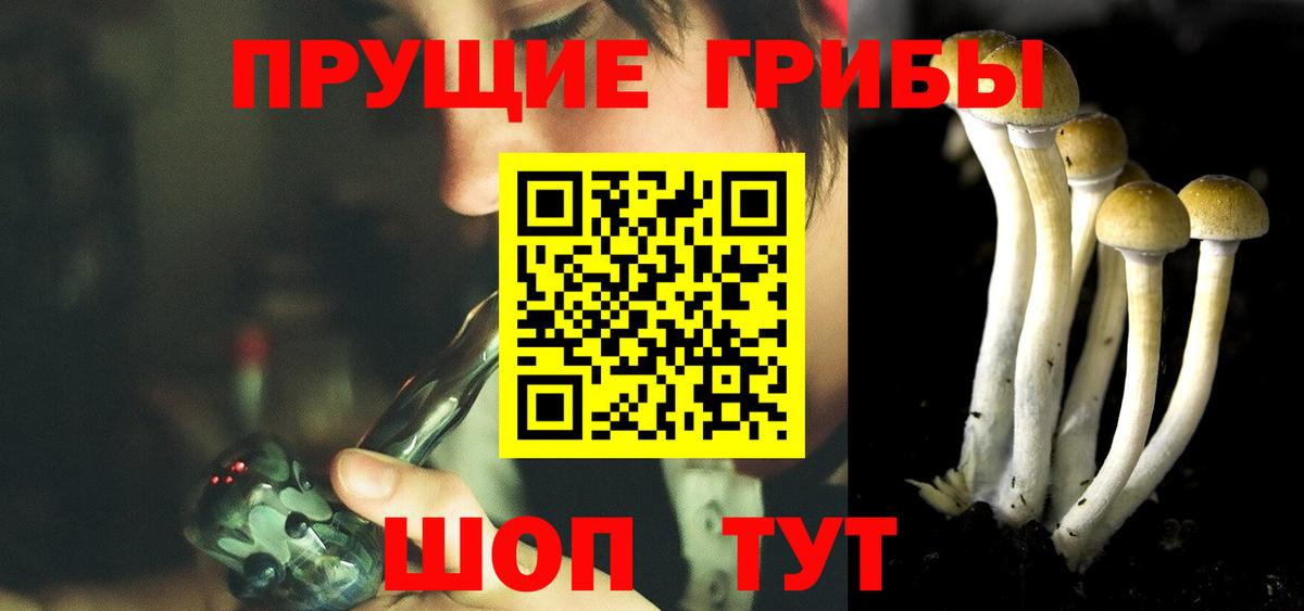 Галлюциногенные грибы мицелий Тосно
