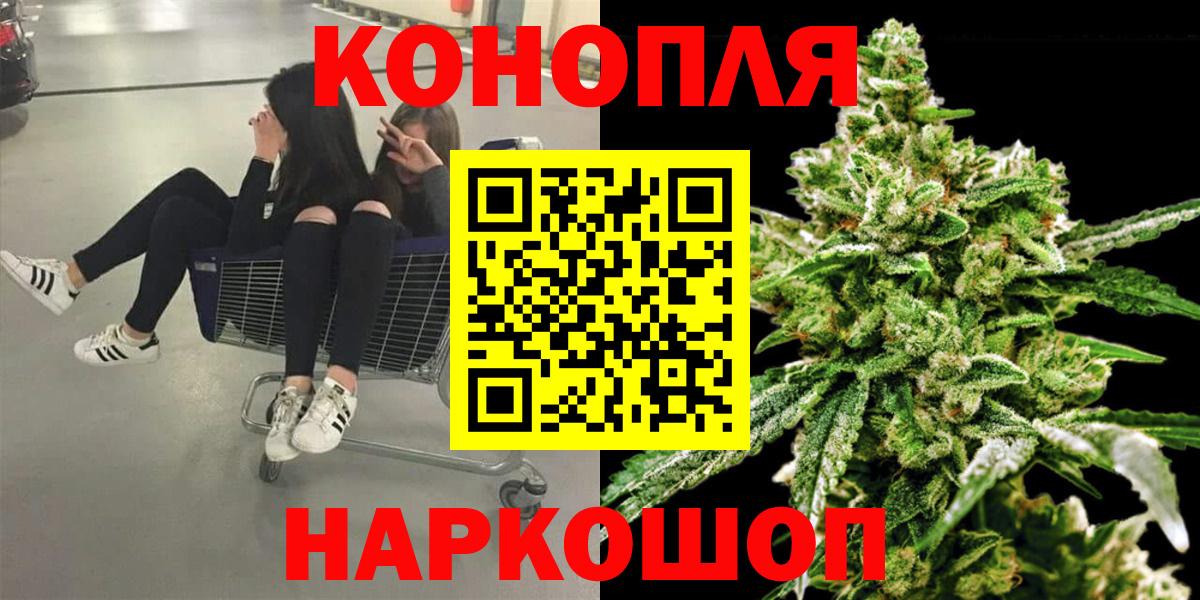 Бошки Шишки семена  Конопля AK-47  Вход с VPN  Тосно  Конопля планчик 